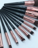 Copper 14 piece Brush Set
